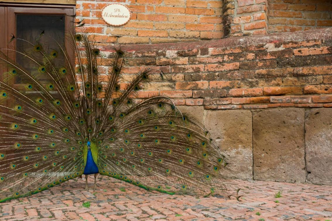 Hacienda Sepulveda Hotel & Spa (Adults Only) Lagos de Moreno Exterior photo